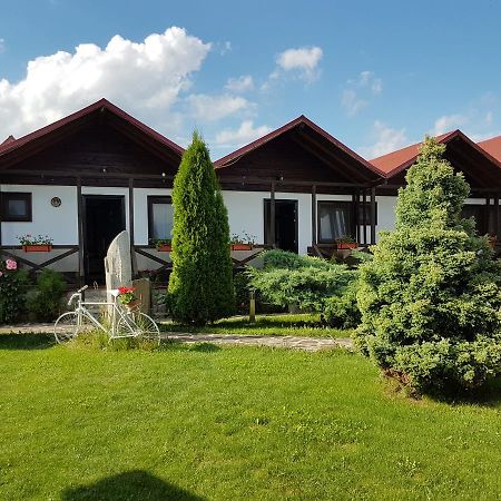 Pensiunea Valea Argesului Albestii Paminteni ภายนอก รูปภาพ