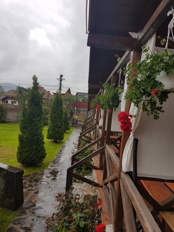 Pensiunea Valea Argesului Albestii Paminteni ภายนอก รูปภาพ