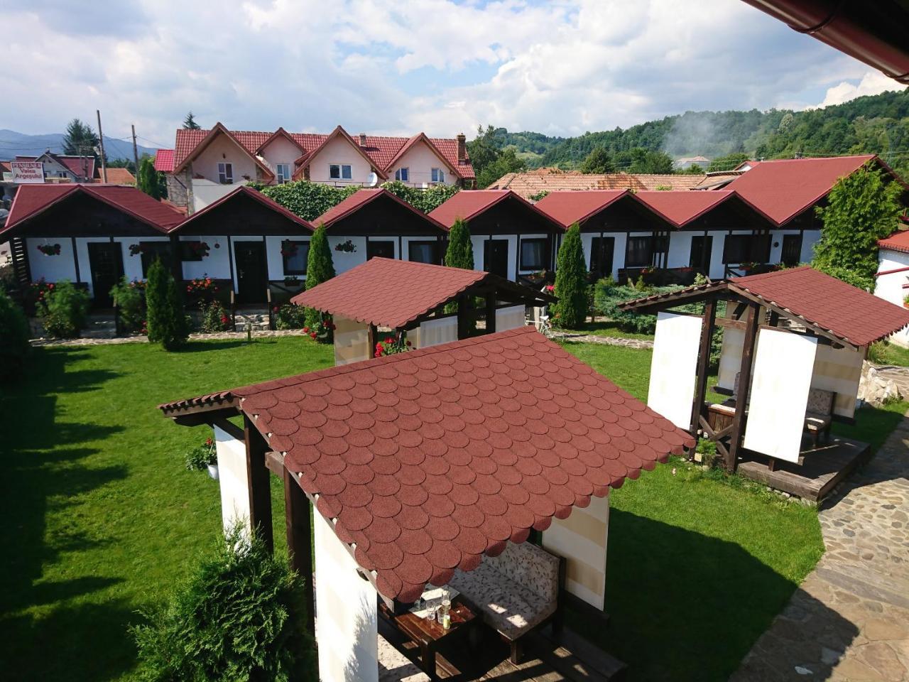 Pensiunea Valea Argesului Albestii Paminteni ภายนอก รูปภาพ