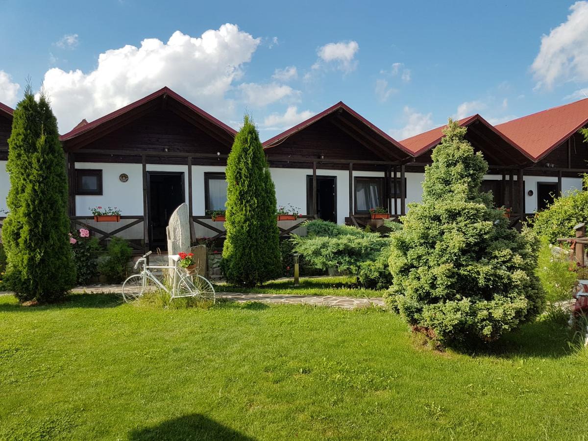Pensiunea Valea Argesului Albestii Paminteni ภายนอก รูปภาพ