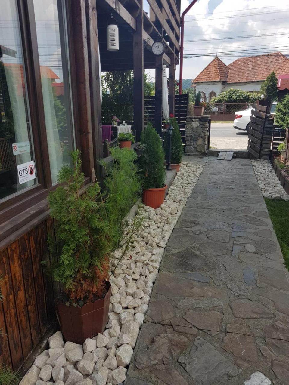 Pensiunea Valea Argesului Albestii Paminteni ภายนอก รูปภาพ